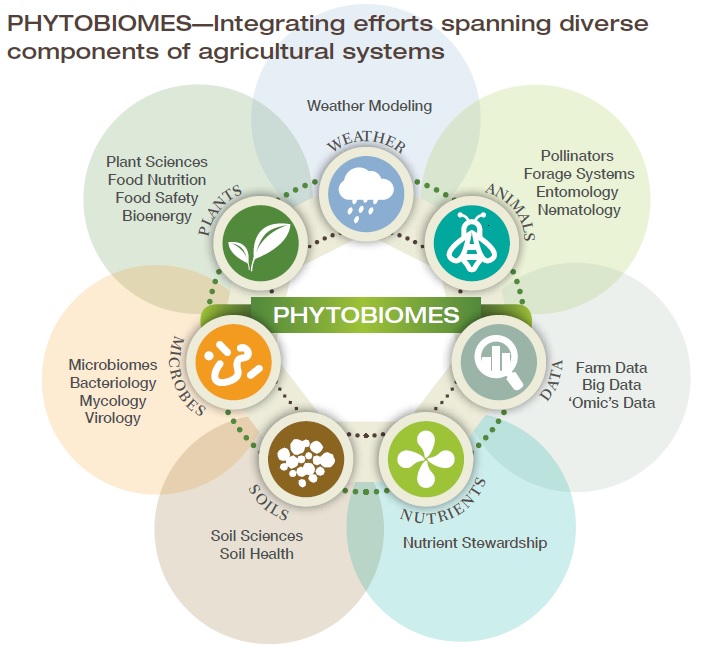 phytobiomes_identity-withcomponents.jpg