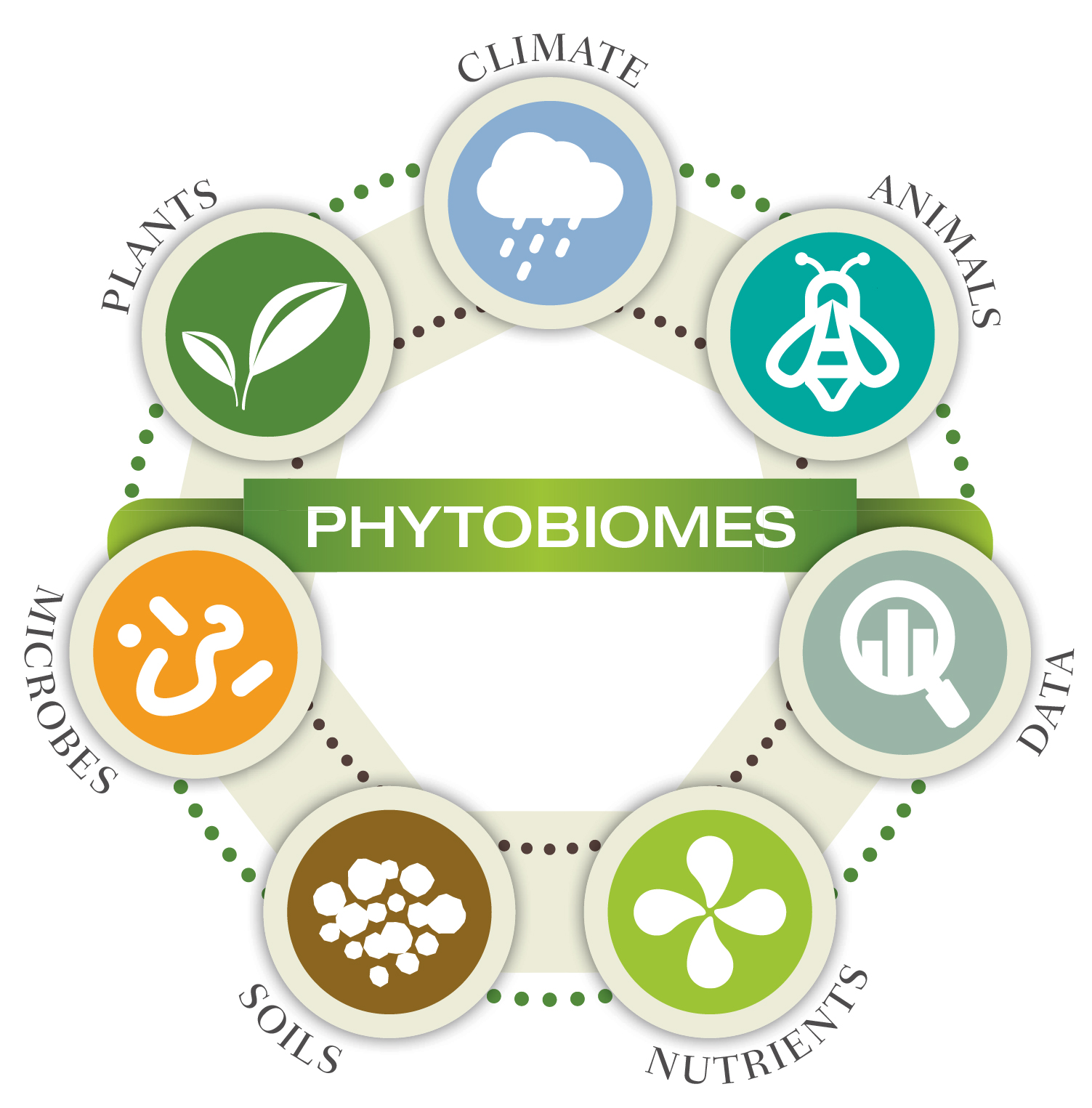 phytobiomes_Identity-circle.jpg